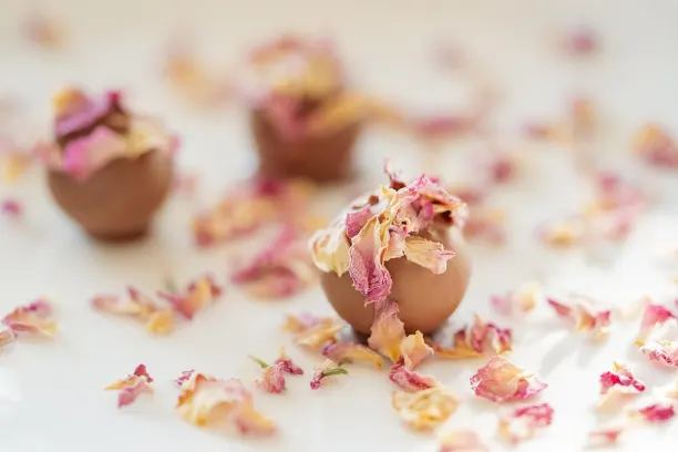 Coin365Bet Cazino Cazinou Aplicație Android/iOS